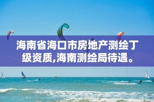 海南省海口市房地產測繪丁級資質,海南測繪局待遇。