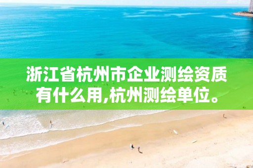 浙江省杭州市企業(yè)測(cè)繪資質(zhì)有什么用,杭州測(cè)繪單位。