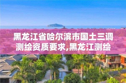 黑龍江省哈爾濱市國土三調(diào)測繪資質(zhì)要求,黑龍江測繪局三院。