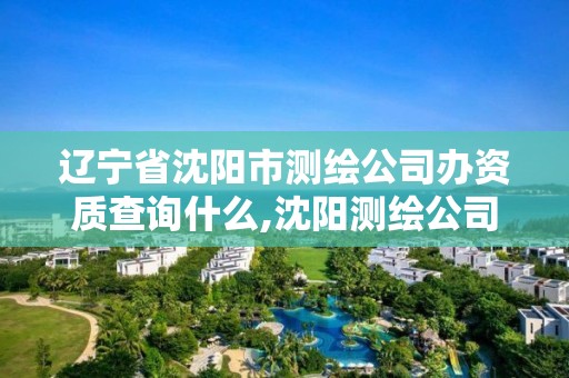 遼寧省沈陽市測繪公司辦資質查詢什么,沈陽測繪公司電話。