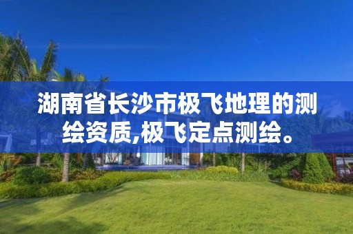 湖南省長沙市極飛地理的測繪資質,極飛定點測繪。