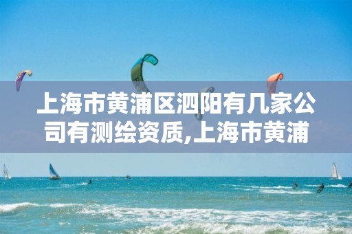 上海市黃浦區(qū)泗陽有幾家公司有測繪資質(zhì),上海市黃浦區(qū)泗陽有幾家公司有測繪資質(zhì)的公司。