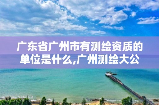 廣東省廣州市有測繪資質的單位是什么,廣州測繪大公司有哪些。