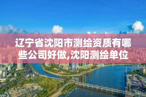 遼寧省沈陽市測繪資質有哪些公司好做,沈陽測繪單位排名。