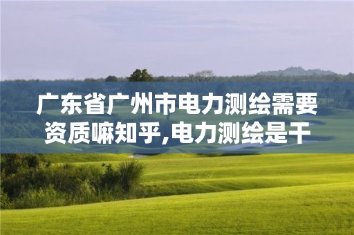 廣東省廣州市電力測繪需要資質(zhì)嘛知乎,電力測繪是干什么的。