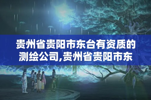 貴州省貴陽市東臺有資質的測繪公司,貴州省貴陽市東臺有資質的測繪公司有幾家。