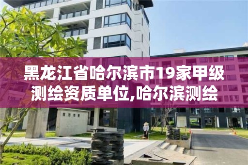 黑龍江省哈爾濱市19家甲級測繪資質單位,哈爾濱測繪公司哪家好。