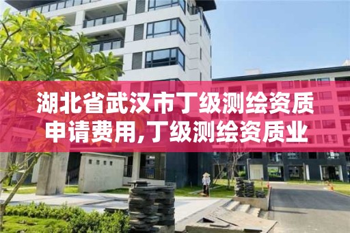 湖北省武漢市丁級測繪資質申請費用,丁級測繪資質業務范圍有哪些。