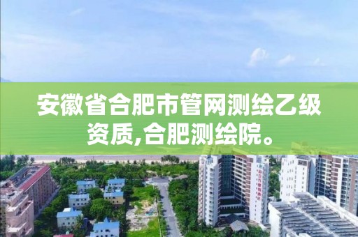 安徽省合肥市管網測繪乙級資質,合肥測繪院。