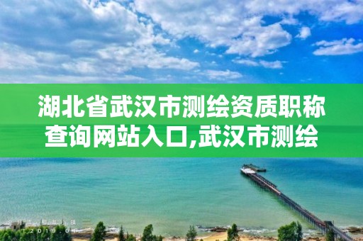 湖北省武漢市測繪資質職稱查詢網(wǎng)站入口,武漢市測繪研究院官網(wǎng)。