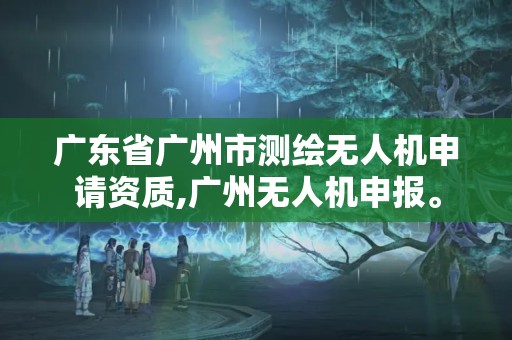 廣東省廣州市測繪無人機申請資質,廣州無人機申報。