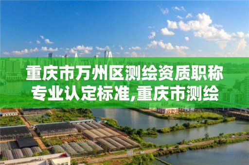 重慶市萬州區測繪資質職稱專業認定標準,重慶市測繪資質管理辦法。