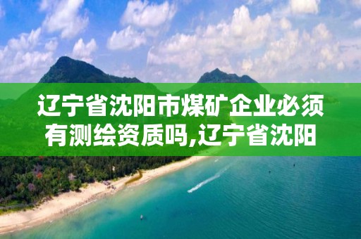 遼寧省沈陽市煤礦企業必須有測繪資質嗎,遼寧省沈陽市煤礦企業必須有測繪資質嗎為什么。