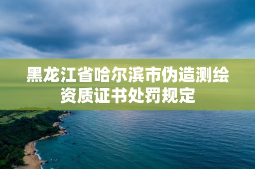 黑龍江省哈爾濱市偽造測繪資質證書處罰規定