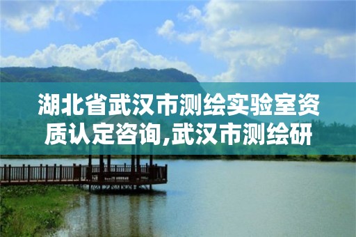 湖北省武漢市測繪實驗室資質認定咨詢,武漢市測繪研究院是國企嗎。