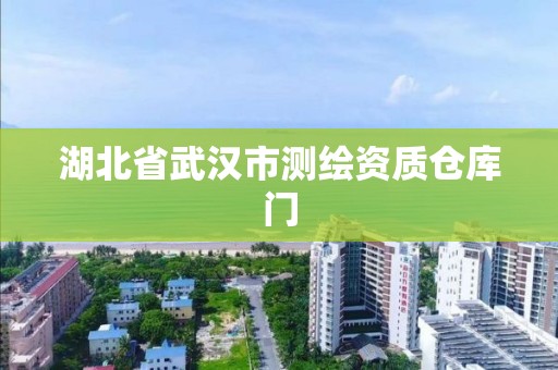 湖北省武漢市測繪資質倉庫門