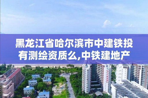 黑龍江省哈爾濱市中建鐵投有測繪資質么,中鐵建地產哈爾濱。