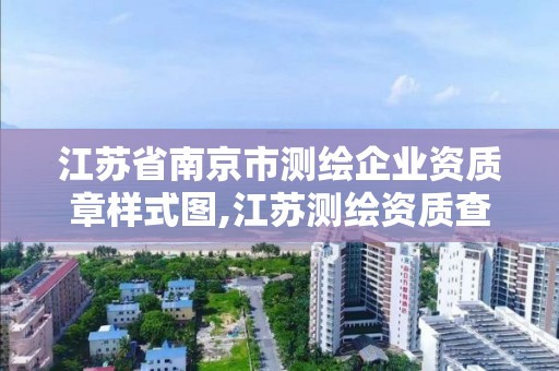 江蘇省南京市測繪企業(yè)資質章樣式圖,江蘇測繪資質查詢。