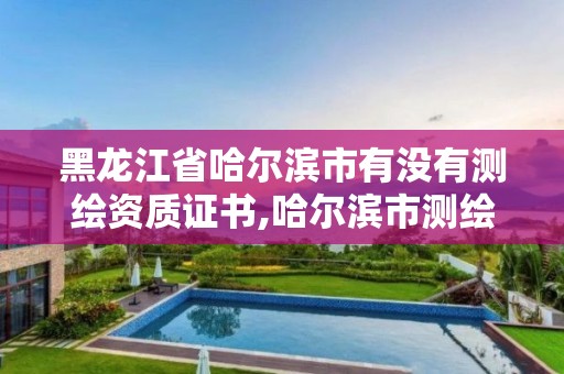 黑龍江省哈爾濱市有沒有測繪資質證書,哈爾濱市測繪公司。