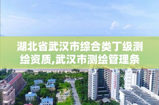 湖北省武漢市綜合類丁級測繪資質,武漢市測繪管理條例。