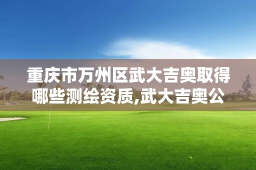 重慶市萬州區武大吉奧取得哪些測繪資質,武大吉奧公司。