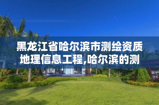 黑龍江省哈爾濱市測繪資質地理信息工程,哈爾濱的測繪公司有哪些。