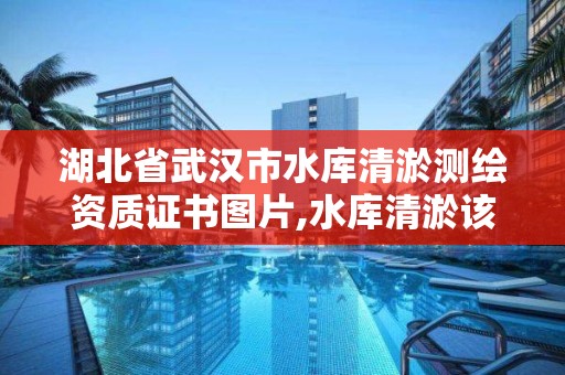 湖北省武漢市水庫清淤測繪資質證書圖片,水庫清淤該哪個部門批復。