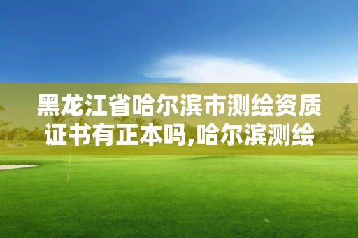 黑龍江省哈爾濱市測繪資質(zhì)證書有正本嗎,哈爾濱測繪院招聘。