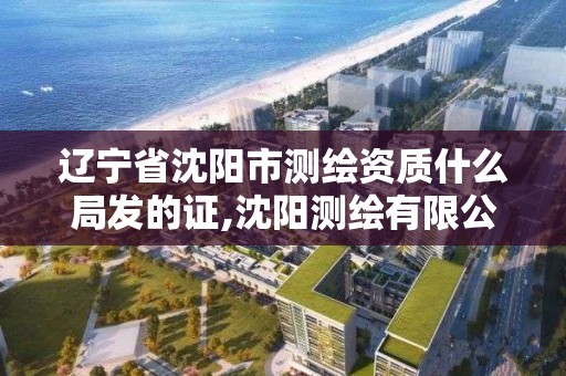 遼寧省沈陽市測繪資質什么局發的證,沈陽測繪有限公司。