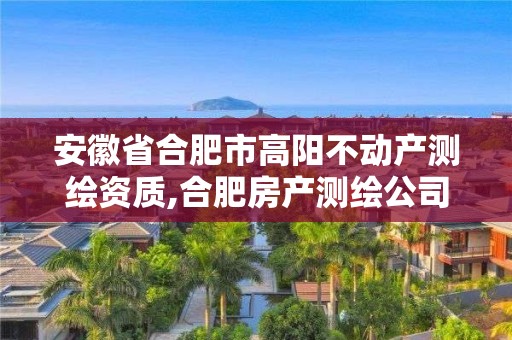 安徽省合肥市高陽(yáng)不動(dòng)產(chǎn)測(cè)繪資質(zhì),合肥房產(chǎn)測(cè)繪公司。