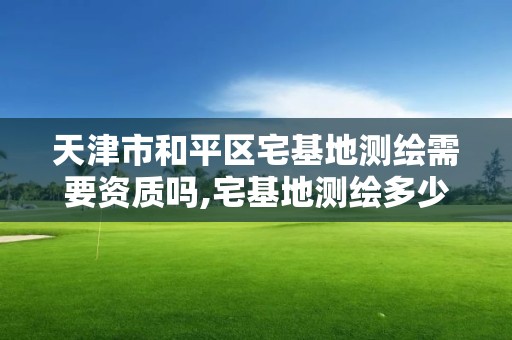 天津市和平區(qū)宅基地測繪需要資質(zhì)嗎,宅基地測繪多少錢一戶。