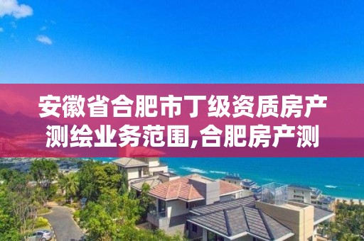 安徽省合肥市丁級(jí)資質(zhì)房產(chǎn)測繪業(yè)務(wù)范圍,合肥房產(chǎn)測繪公司排名。