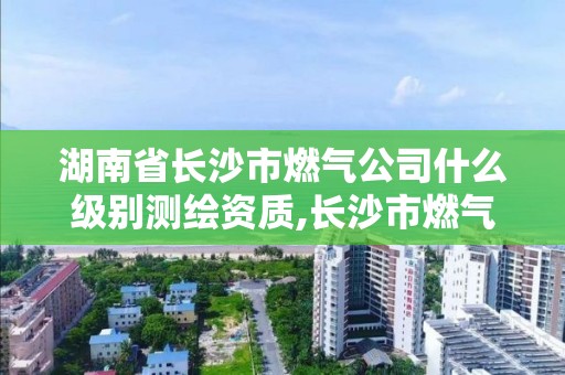 湖南省長沙市燃氣公司什么級別測繪資質,長沙市燃氣協會。