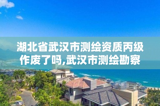 湖北省武漢市測繪資質丙級作廢了嗎,武漢市測繪勘察設計甲級資質公司。