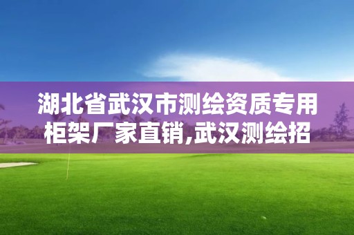 湖北省武漢市測繪資質專用柜架廠家直銷,武漢測繪招聘信息。