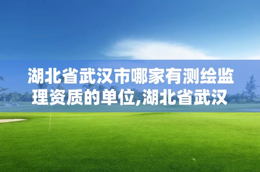 湖北省武漢市哪家有測繪監理資質的單位,湖北省武漢市哪家有測繪監理資質的單位招聘。