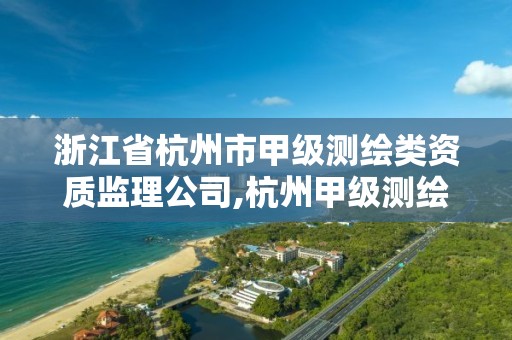 浙江省杭州市甲級測繪類資質監理公司,杭州甲級測繪公司有哪些。