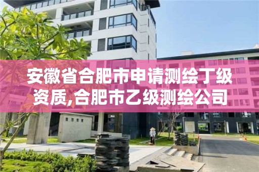 安徽省合肥市申請測繪丁級資質(zhì),合肥市乙級測繪公司。