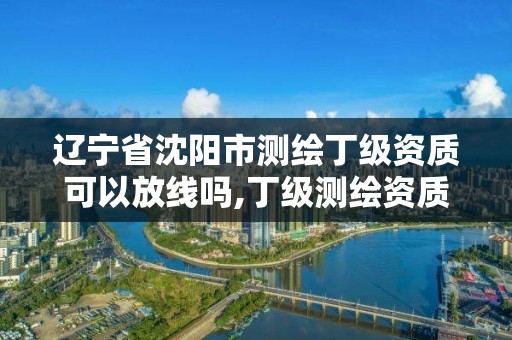 遼寧省沈陽市測繪丁級資質可以放線嗎,丁級測繪資質要求。