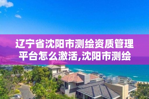 遼寧省沈陽市測繪資質管理平臺怎么激活,沈陽市測繪管理辦公室。