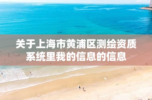 關于上海市黃浦區測繪資質系統里我的信息的信息