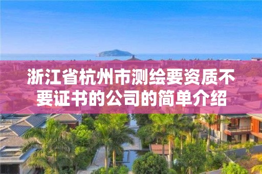 浙江省杭州市測繪要資質不要證書的公司的簡單介紹