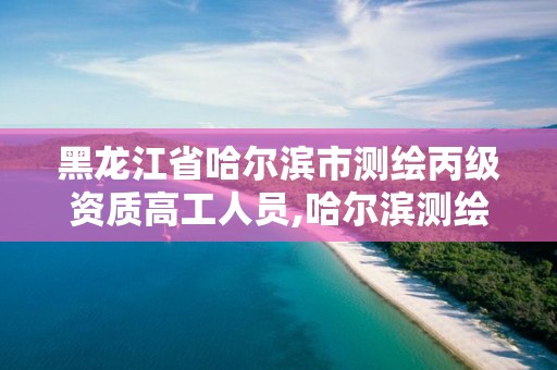 黑龍江省哈爾濱市測繪丙級資質高工人員,哈爾濱測繪局招聘。