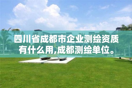 四川省成都市企業測繪資質有什么用,成都測繪單位。