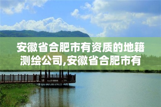 安徽省合肥市有資質(zhì)的地籍測繪公司,安徽省合肥市有資質(zhì)的地籍測繪公司有幾家。