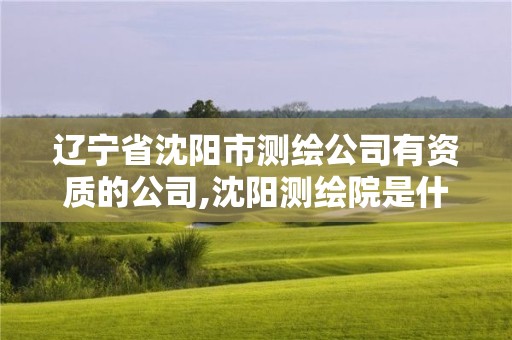 遼寧省沈陽市測繪公司有資質的公司,沈陽測繪院是什么單位。