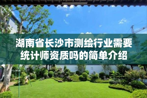 湖南省長沙市測繪行業(yè)需要統(tǒng)計師資質(zhì)嗎的簡單介紹