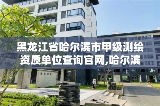 黑龍江省哈爾濱市甲級測繪資質單位查詢官網,哈爾濱甲級測繪公司。