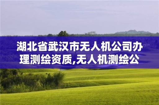 湖北省武漢市無人機公司辦理測繪資質,無人機測繪公司注冊條件。