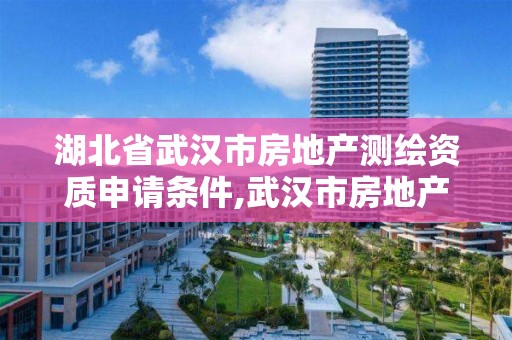 湖北省武漢市房地產測繪資質申請條件,武漢市房地產測繪實施細則。